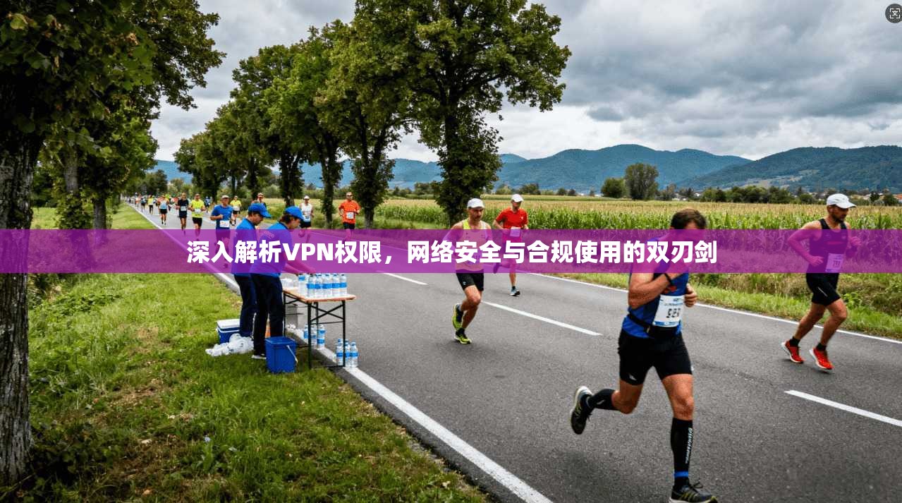 深入解析VPN权限,网络安全与合规使用的双刃剑 深入解析VPN权限,网络安全与合规使用的双刃剑