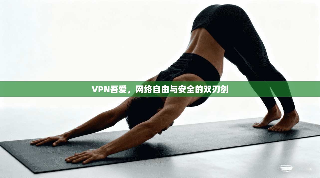 VPN吾爱，网络自由与安全的双刃剑