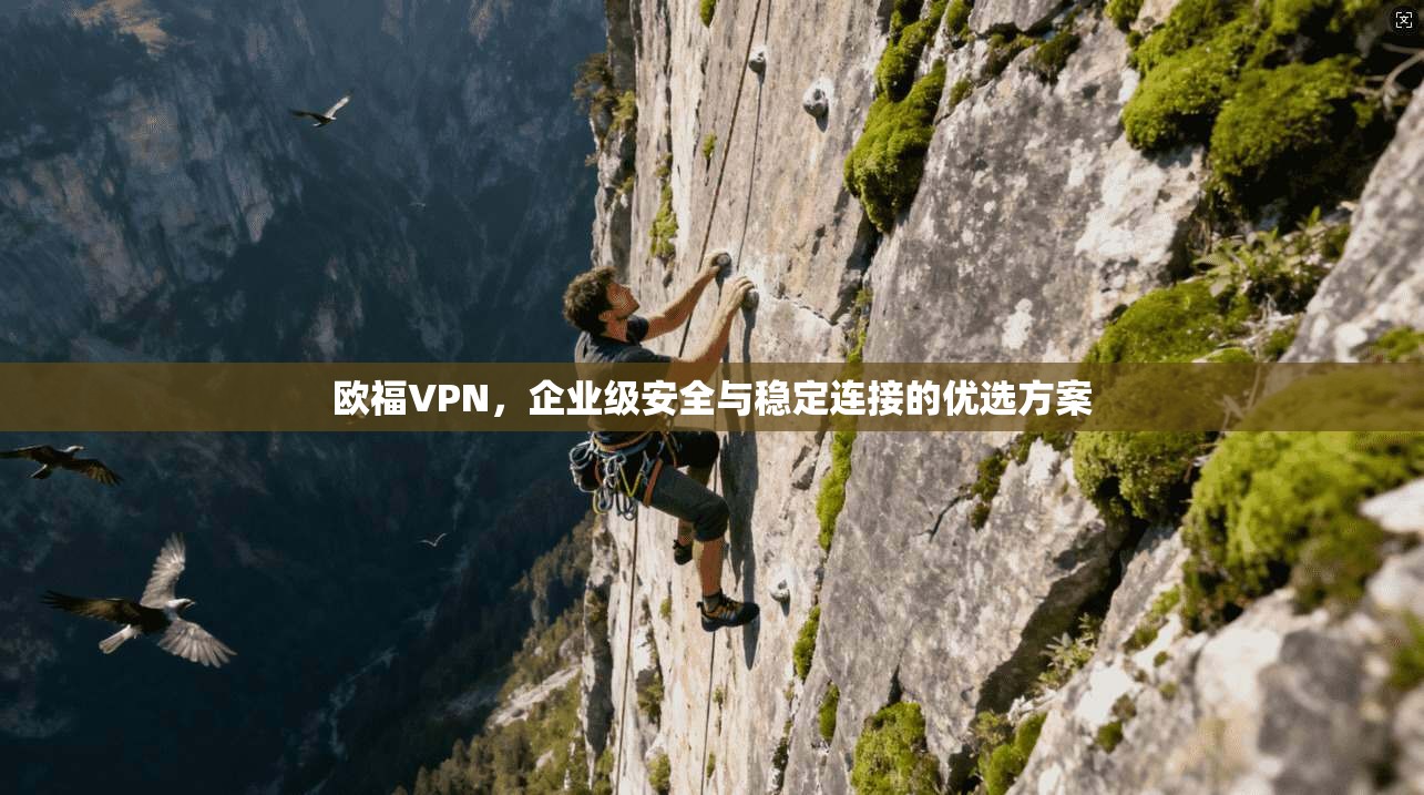 欧福VPN,企业级安全与稳定连接的优选方案 欧福VPN,企业级安全与稳定连接的优选方案