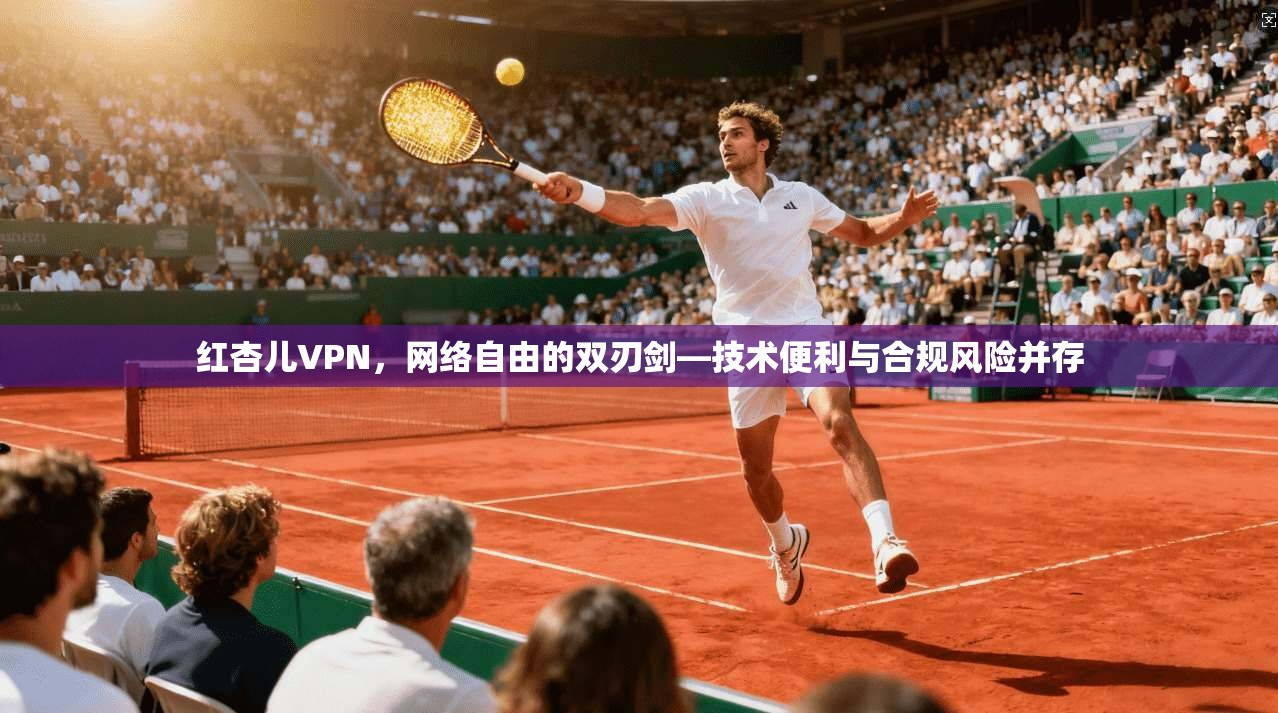 红杏儿VPN，网络自由的双刃剑—技术便利与合规风险并存