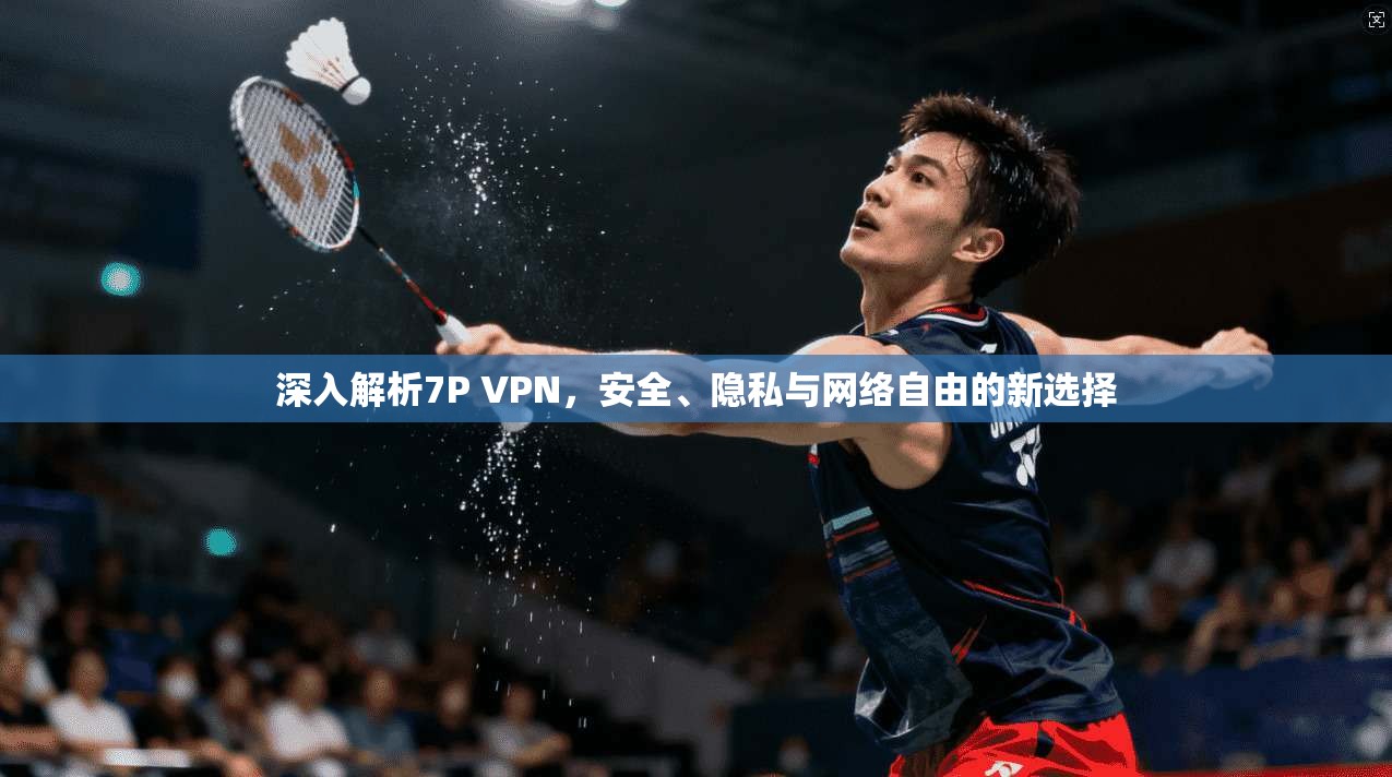 深入解析7P VPN，安全、隐私与网络自由的新选择