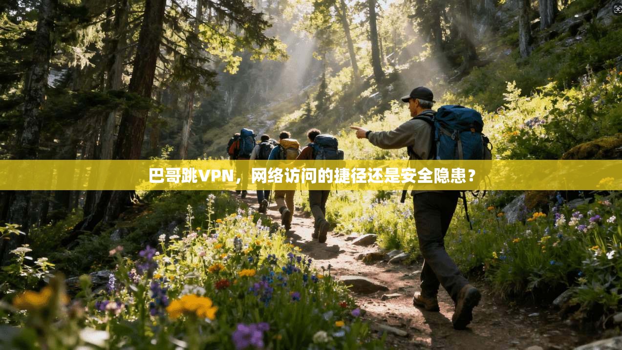 巴哥跳VPN，网络访问的捷径还是安全隐患？