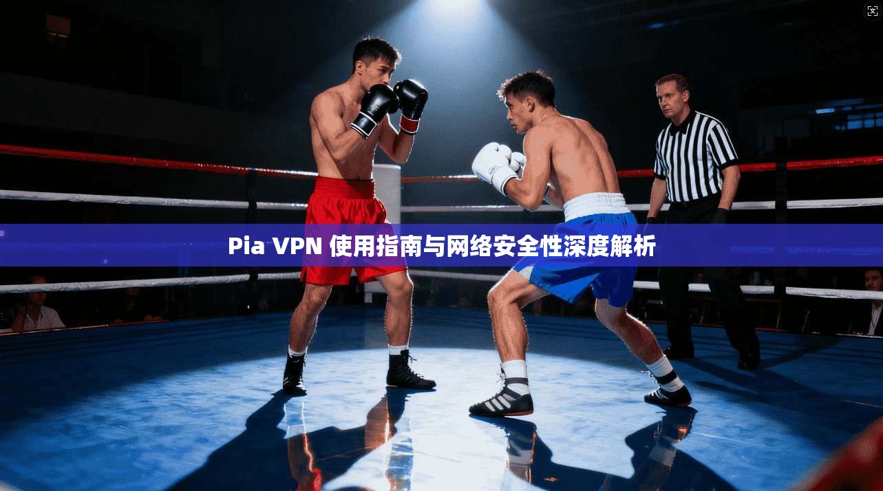 Pia VPN 使用指南与网络安全性深度解析