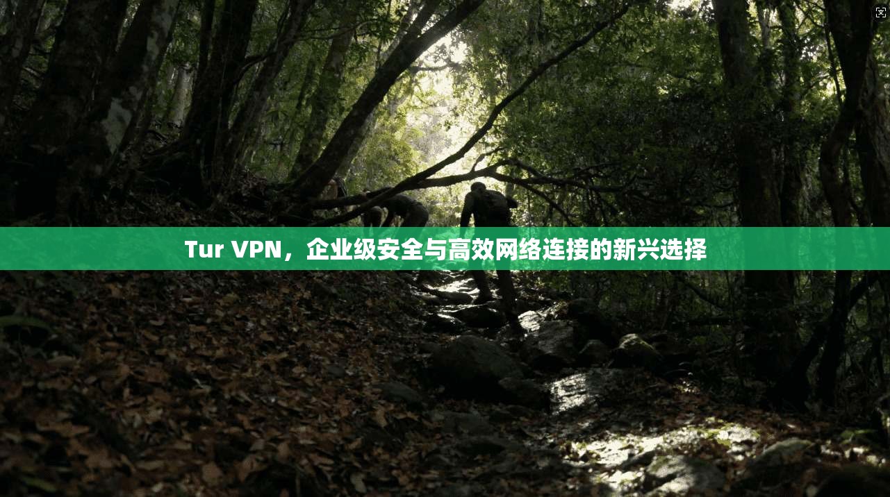 Tur VPN，企业级安全与高效网络连接的新兴选择