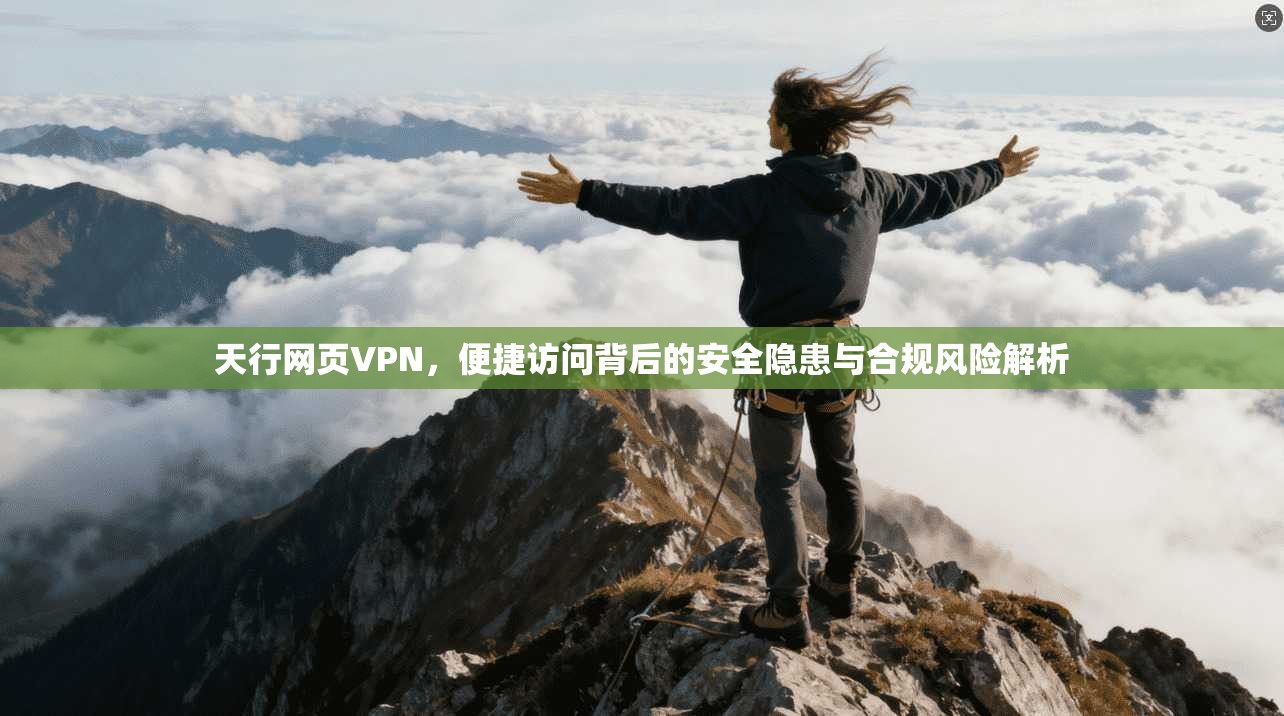 天行网页VPN,便捷访问背后的安全隐患与合规风险解析 天行网页VPN,便捷访问背后的安全隐患与合规风险解析