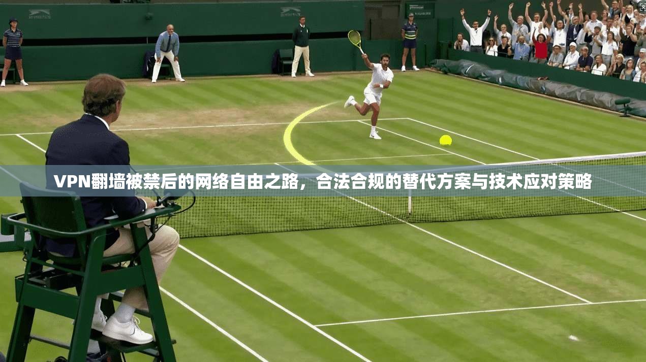 VPN翻墙被禁后的网络自由之路,合法合规的替代方案与技术应对策略 VPN翻墙被禁后的网络自由之路,合法合规的替代方案与技术应对策略