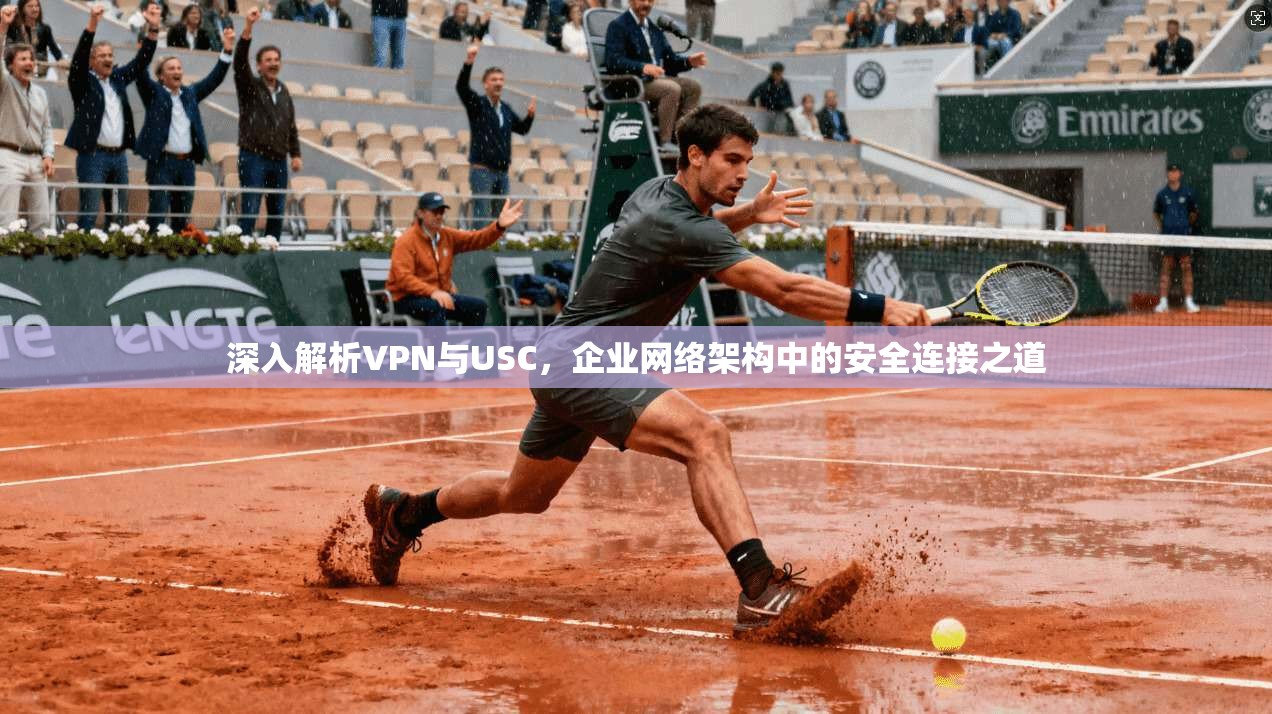 深入解析VPN与USC,企业网络架构中的安全连接之道 深入解析VPN与USC,企业网络架构中的安全连接之道