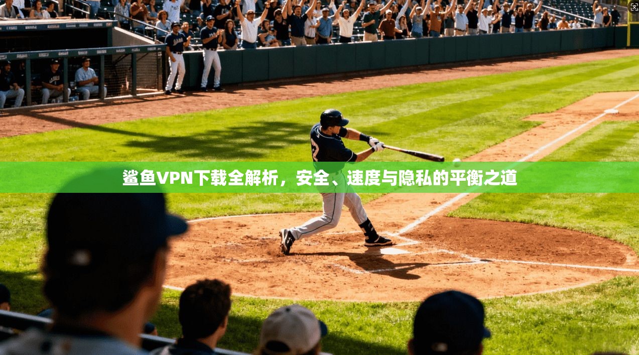 鲨鱼VPN下载全解析，安全、速度与隐私的平衡之道