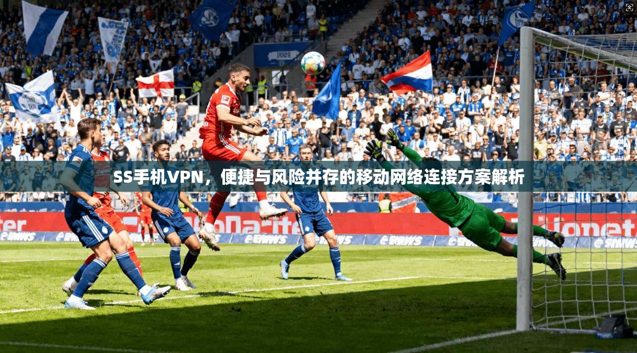 SS手机VPN，便捷与风险并存的移动网络连接方案解析