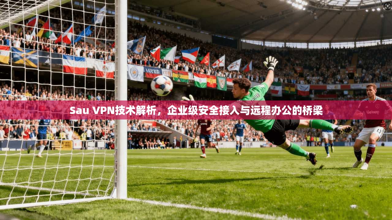 Sau VPN技术解析,企业级安全接入与远程办公的桥梁 Sau VPN技术解析,企业级安全接入与远程办公的桥梁