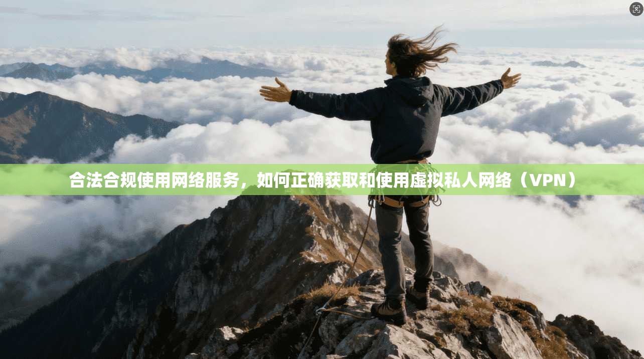 合法合规使用网络服务，如何正确获取和使用虚拟私人网络（VPN）
