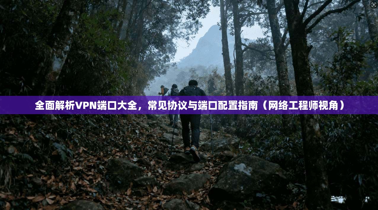 全面解析VPN端口大全，常见协议与端口配置指南（网络工程师视角）