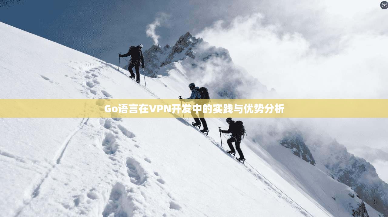 Go语言在VPN开发中的实践与优势分析