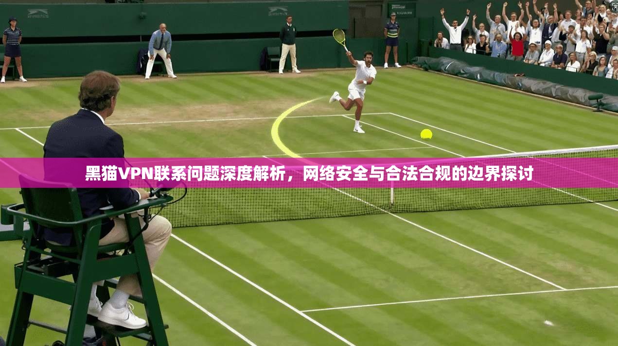 黑猫VPN联系问题深度解析，网络安全与合法合规的边界探讨