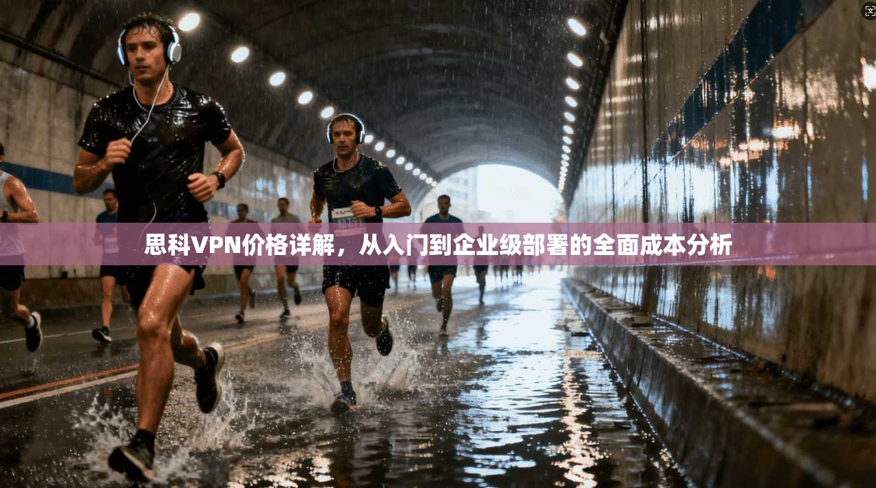 思科VPN价格详解,从入门到企业级部署的全面成本分析 思科VPN价格详解,从入门到企业级部署的全面成本分析