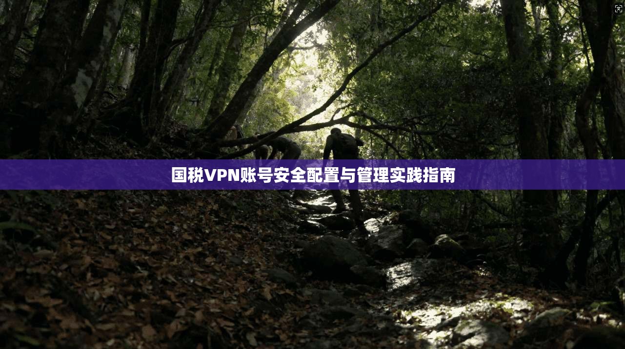 国税VPN账号安全配置与管理实践指南 国税VPN账号安全配置与管理实践指南