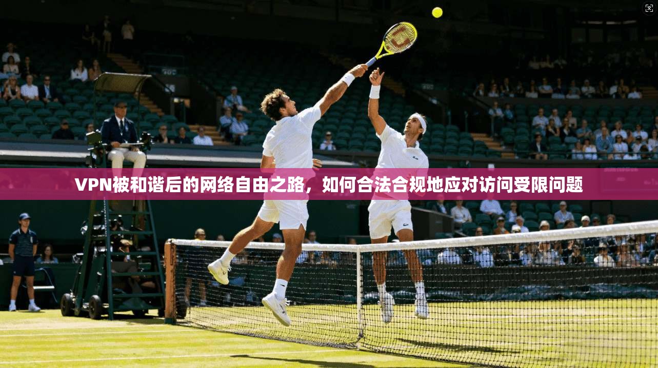 VPN被和谐后的网络自由之路,如何合法合规地应对访问受限问题 VPN被和谐后的网络自由之路,如何合法合规地应对访问受限问题