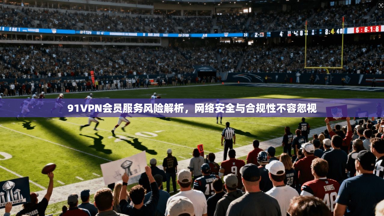 91VPN会员服务风险解析，网络安全与合规性不容忽视