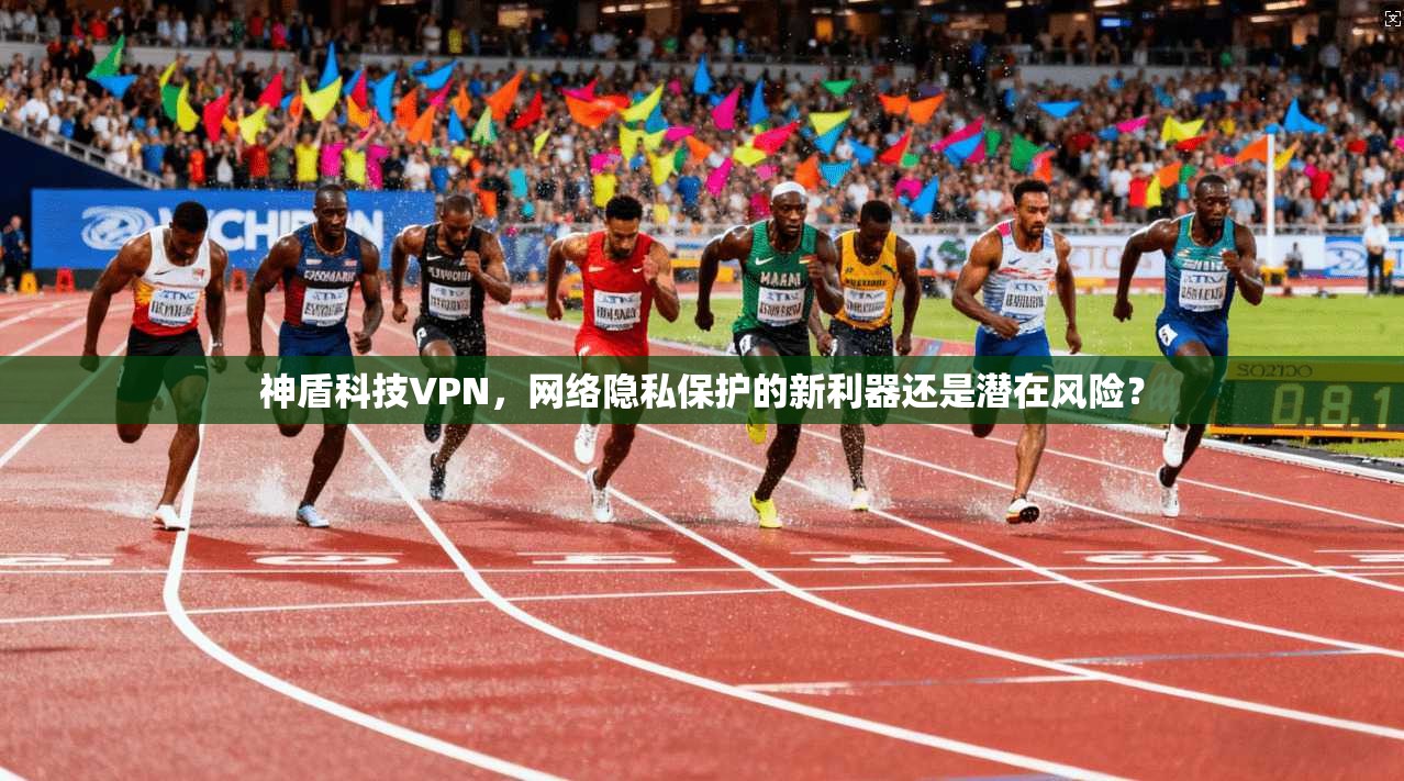 神盾科技VPN，网络隐私保护的新利器还是潜在风险？