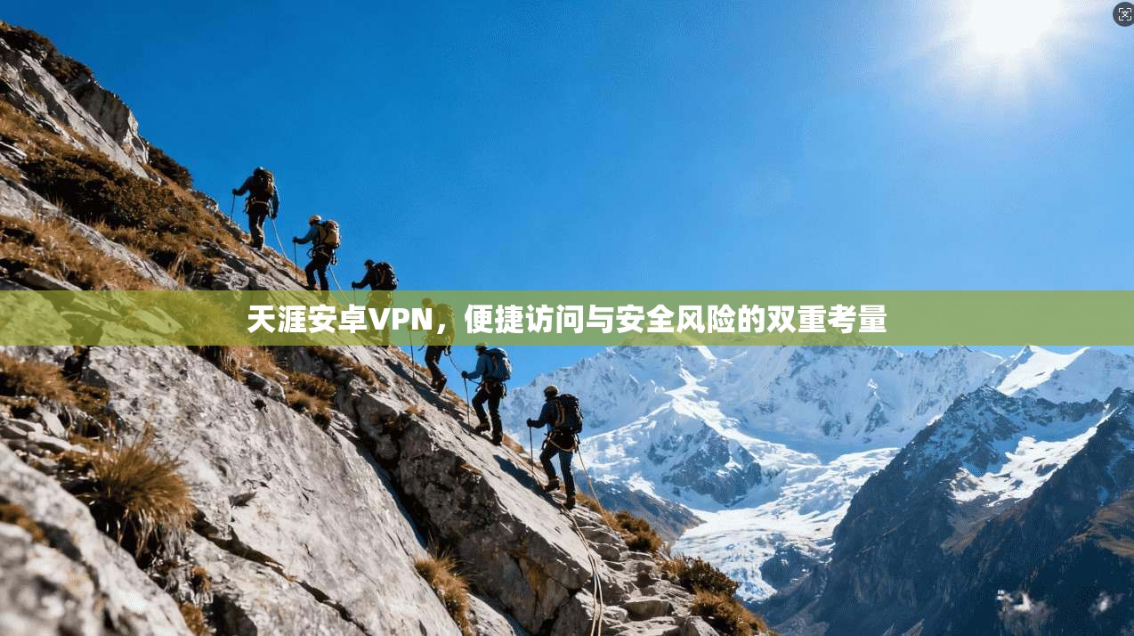 天涯安卓VPN，便捷访问与安全风险的双重考量