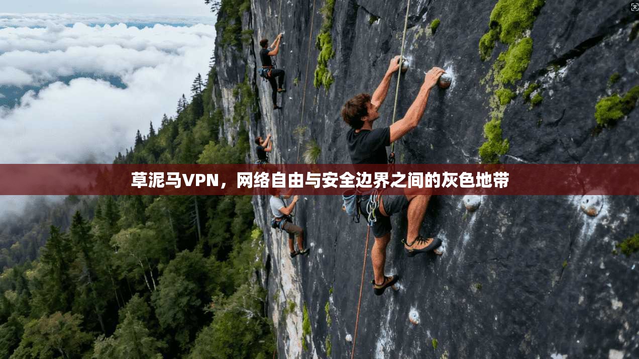草泥马VPN,网络自由与安全边界之间的灰色地带 草泥马VPN,网络自由与安全边界之间的灰色地带