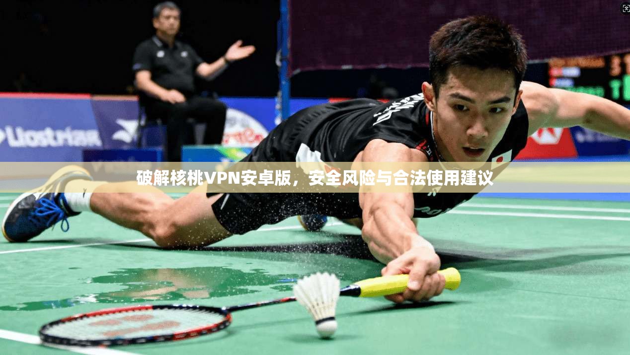 破解核桃VPN安卓版,安全风险与合法使用建议 破解核桃VPN安卓版,安全风险与合法使用建议