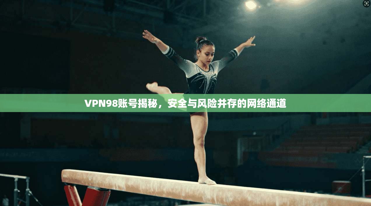 VPN98账号揭秘，安全与风险并存的网络通道