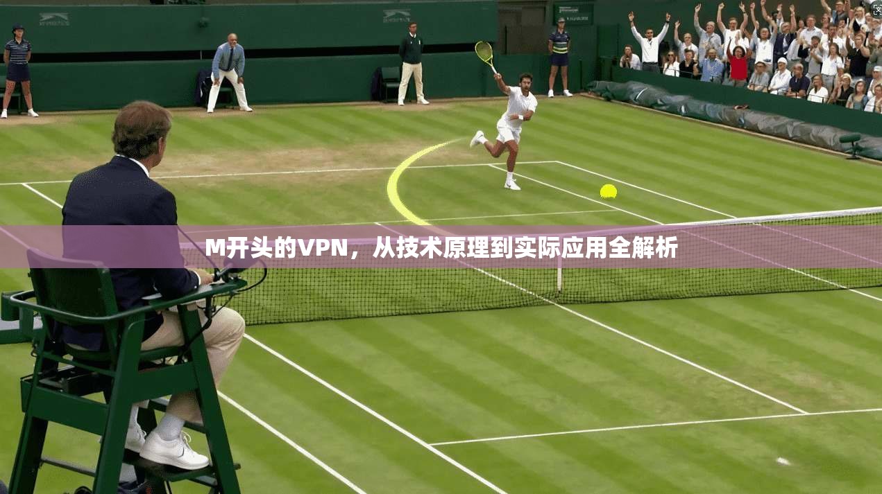 M开头的VPN,从技术原理到实际应用全解析 M开头的VPN,从技术原理到实际应用全解析