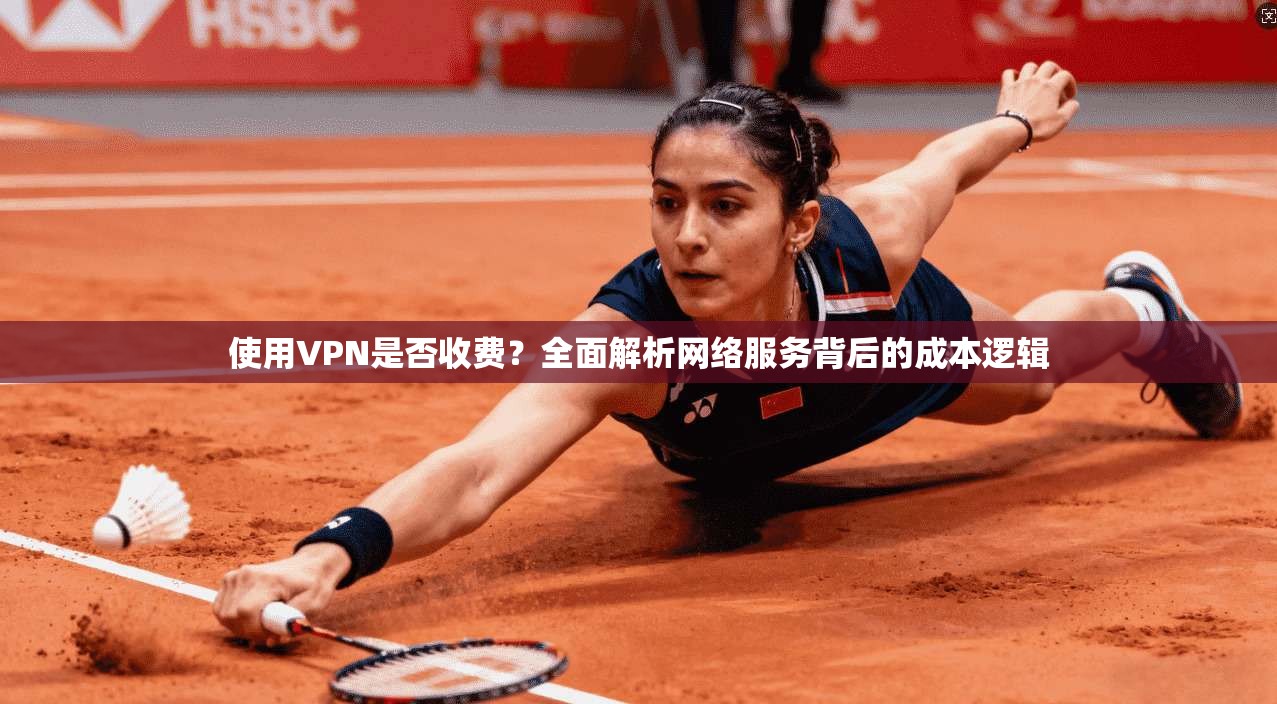 使用VPN是否收费?全面解析网络服务背后的成本逻辑 使用VPN是否收费?全面解析网络服务背后的成本逻辑