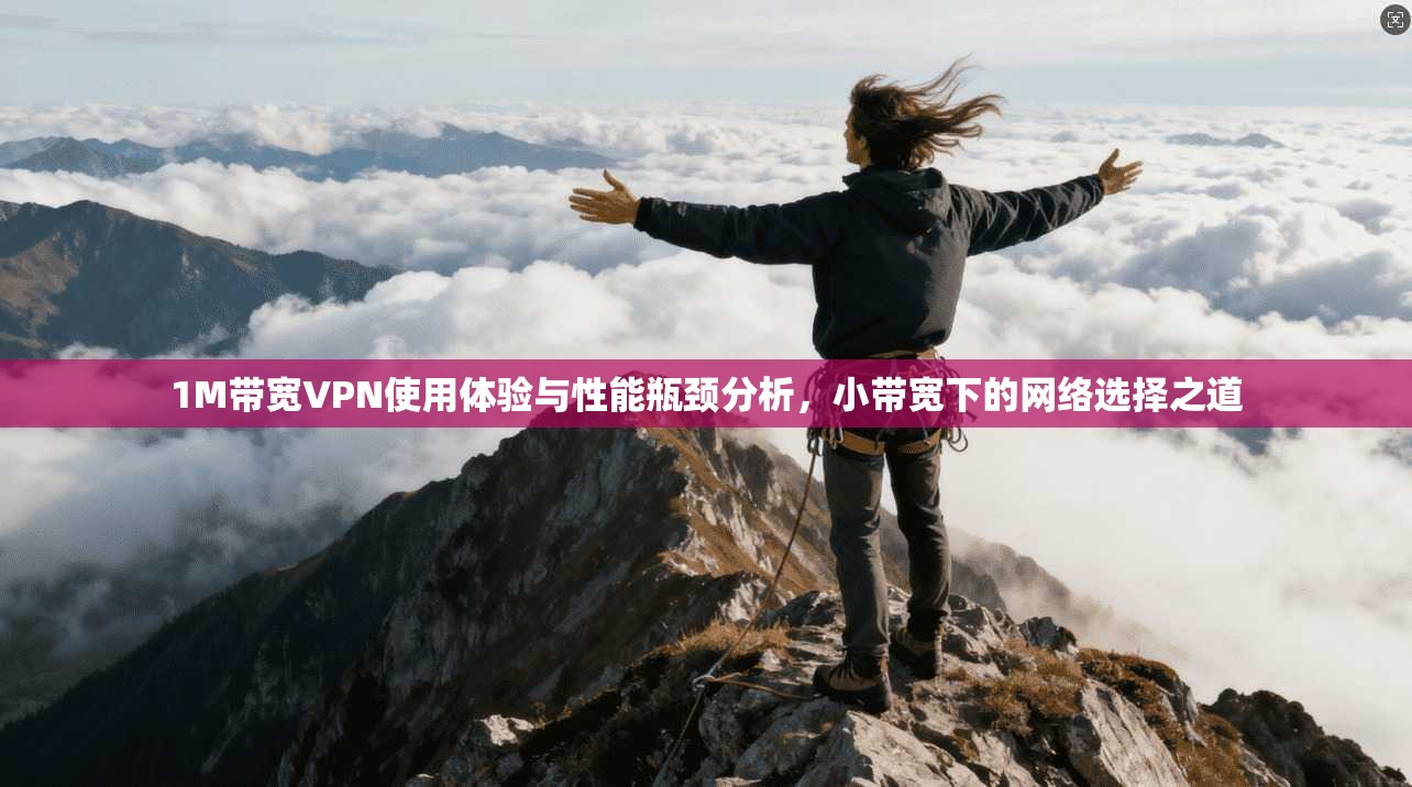 1M带宽VPN使用体验与性能瓶颈分析,小带宽下的网络选择之道 1M带宽VPN使用体验与性能瓶颈分析,小带宽下的网络选择之道