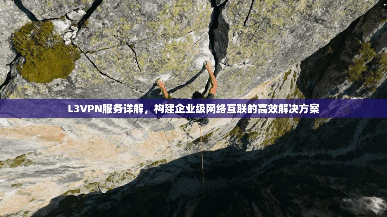 L3VPN服务详解，构建企业级网络互联的高效解决方案