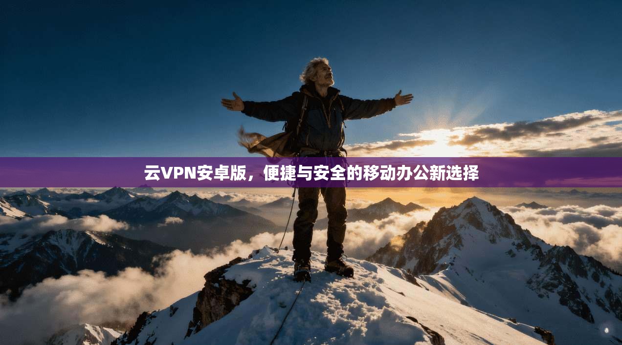 云VPN安卓版，便捷与安全的移动办公新选择
