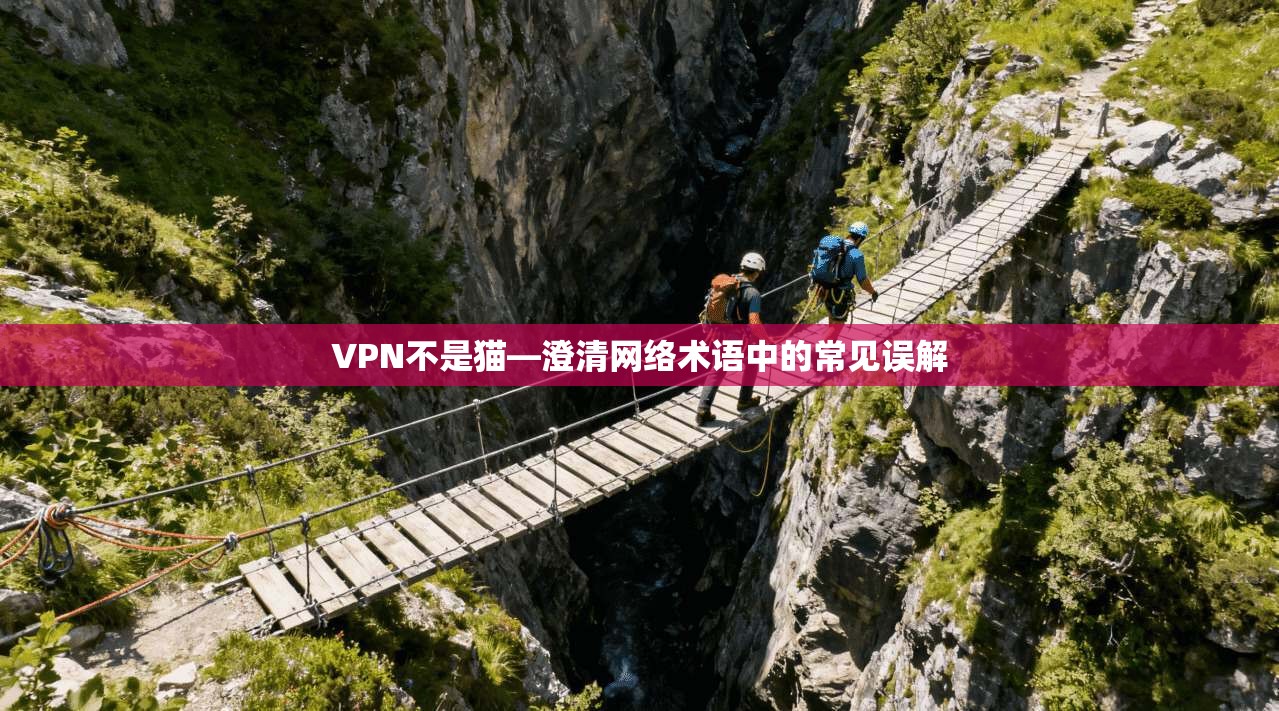 VPN不是猫—澄清网络术语中的常见误解