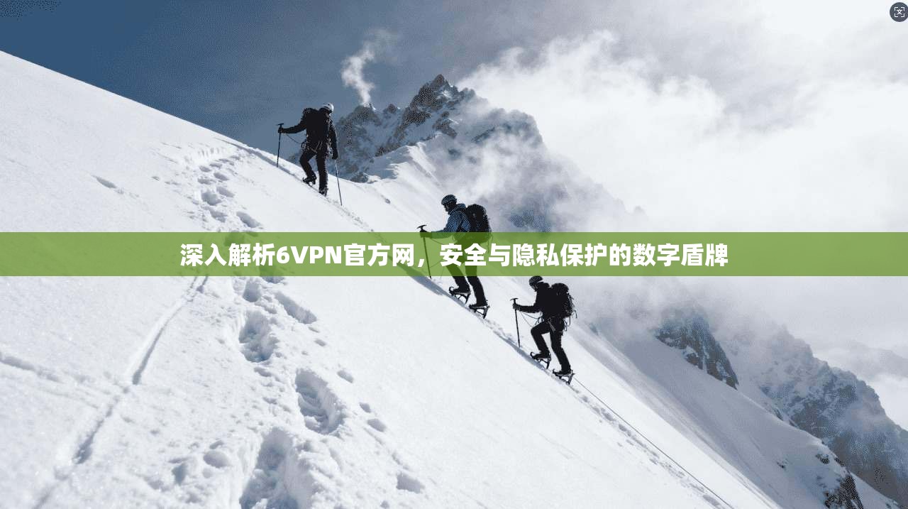 深入解析6VPN官方网,安全与隐私保护的数字盾牌 深入解析6VPN官方网,安全与隐私保护的数字盾牌
