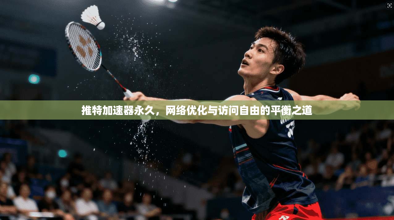 推特加速器永久,网络优化与访问自由的平衡之道 推特加速器永久,网络优化与访问自由的平衡之道