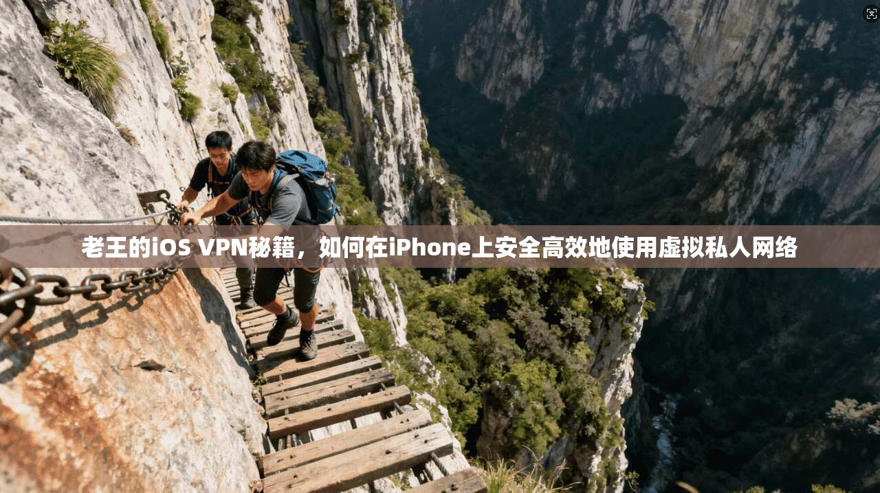 老王的iOS VPN秘籍,如何在iPhone上安全高效地使用虚拟私人网络 老王的iOS VPN秘籍,如何在iPhone上安全高效地使用虚拟私人网络