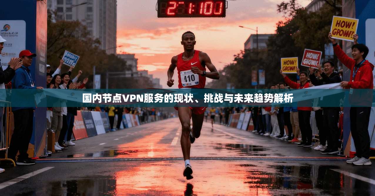 国内节点VPN服务的现状、挑战与未来趋势解析