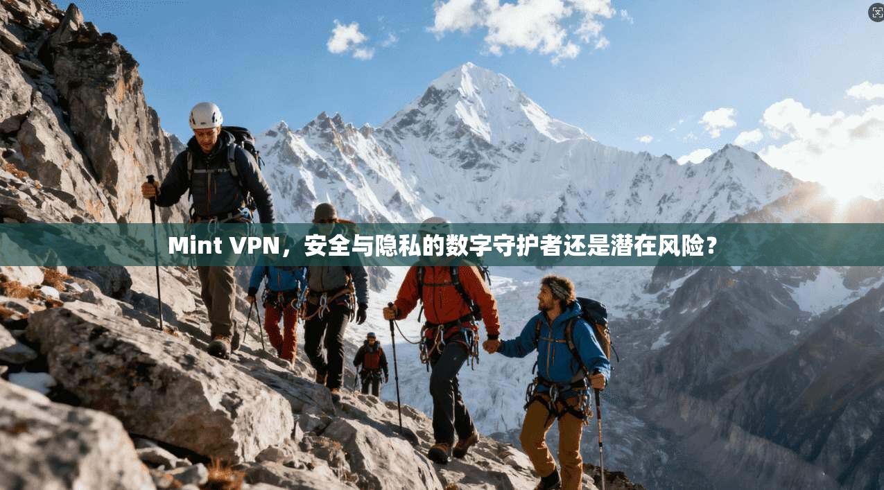Mint VPN,安全与隐私的数字守护者还是潜在风险? Mint VPN,安全与隐私的数字守护者还是潜在风险?