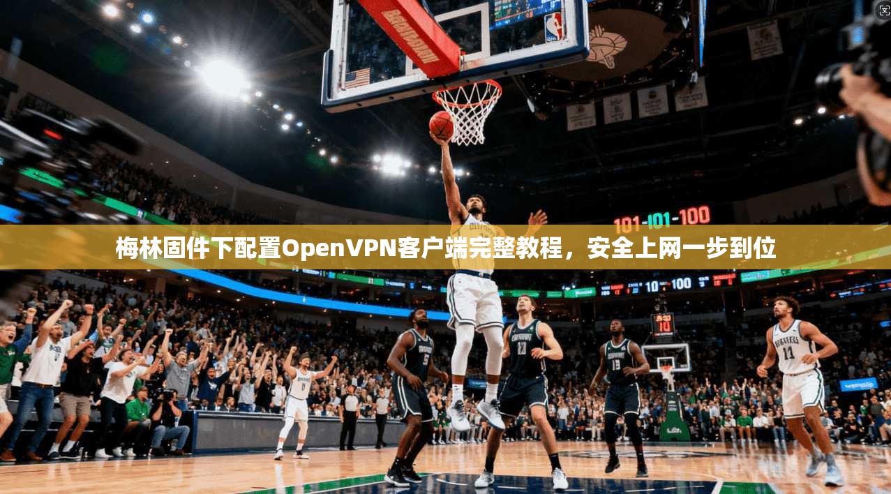 梅林固件下配置OpenVPN客户端完整教程，安全上网一步到位