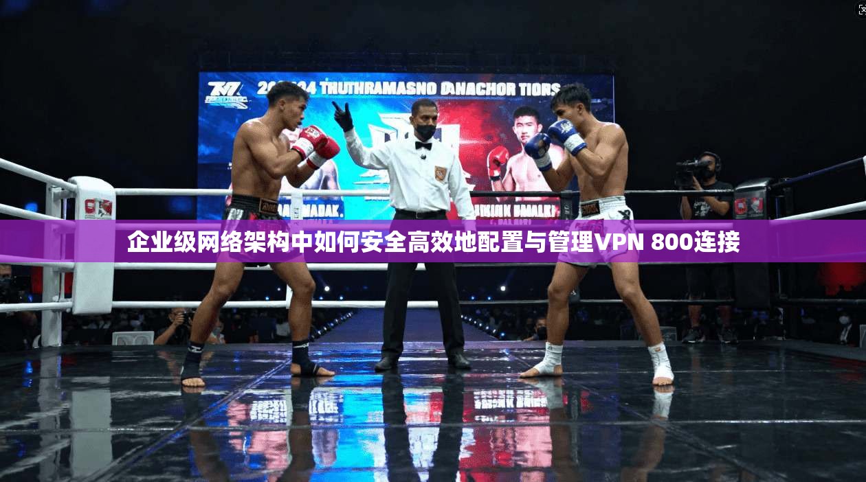 企业级网络架构中如何安全高效地配置与管理VPN 800连接