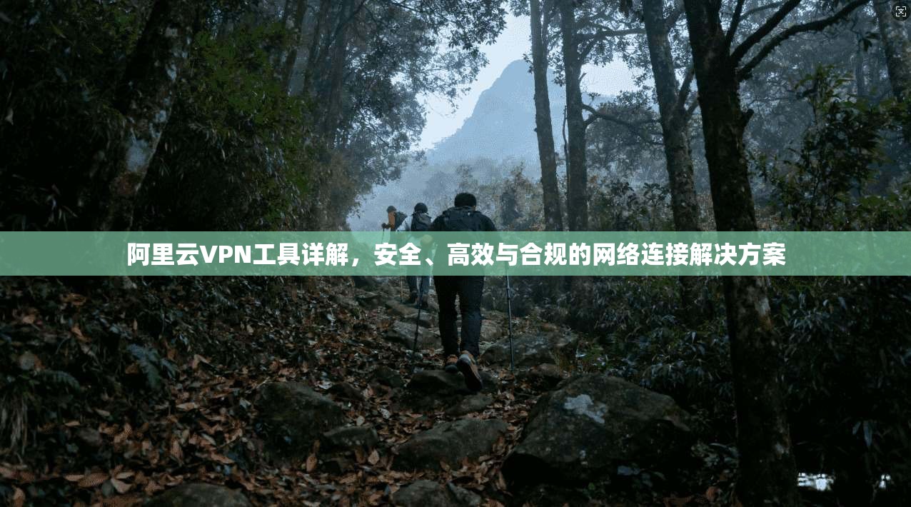 阿里云VPN工具详解,安全、高效与合规的网络连接解决方案 阿里云VPN工具详解,安全、高效与合规的网络连接解决方案