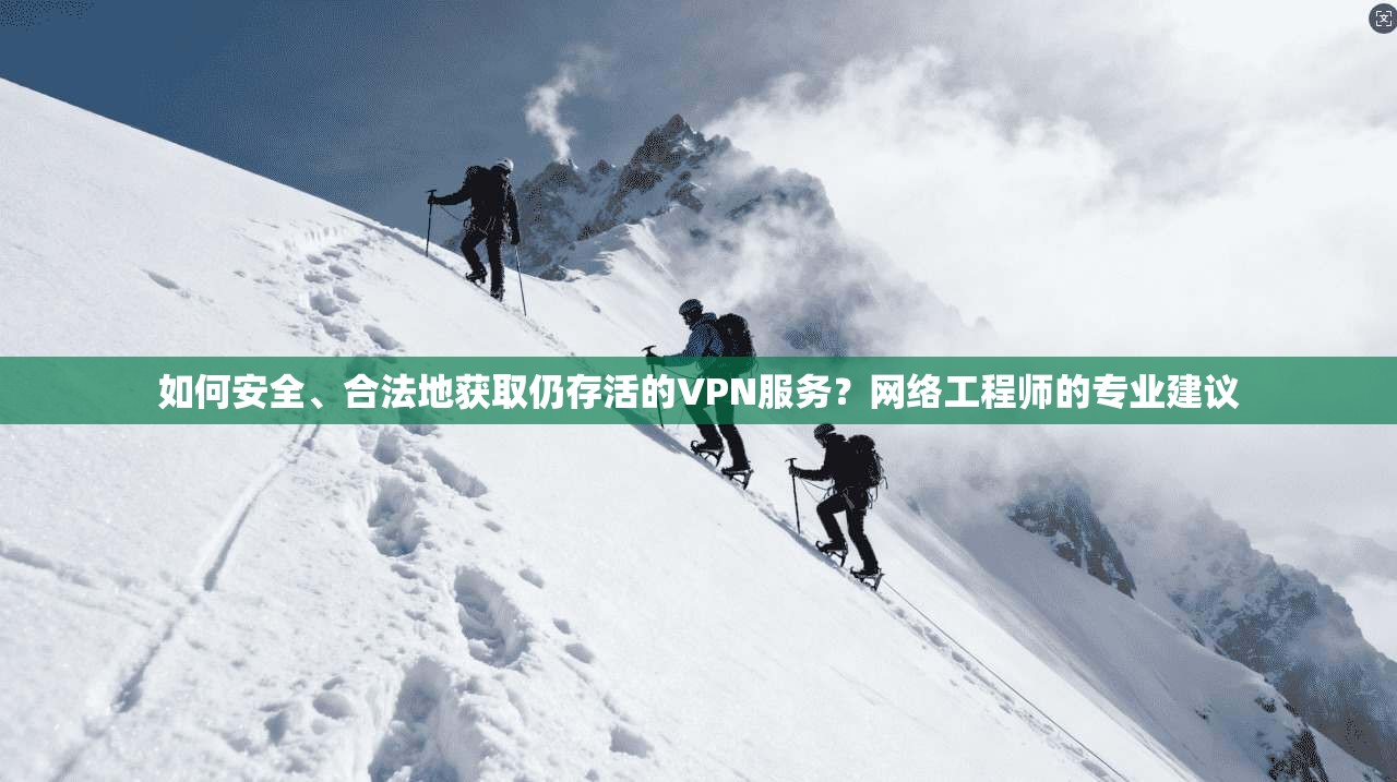 如何安全、合法地获取仍存活的VPN服务？网络工程师的专业建议