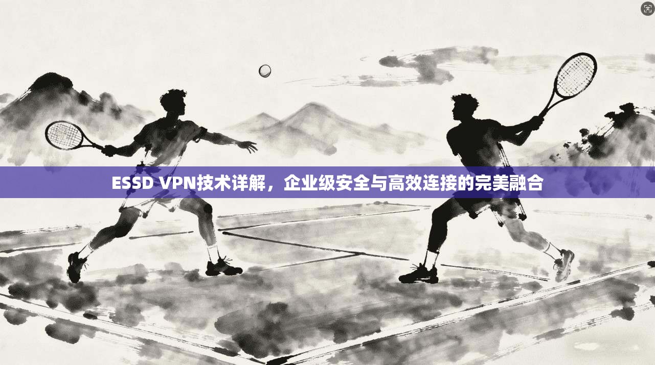 ESSD VPN技术详解,企业级安全与高效连接的完美融合 ESSD VPN技术详解,企业级安全与高效连接的完美融合
