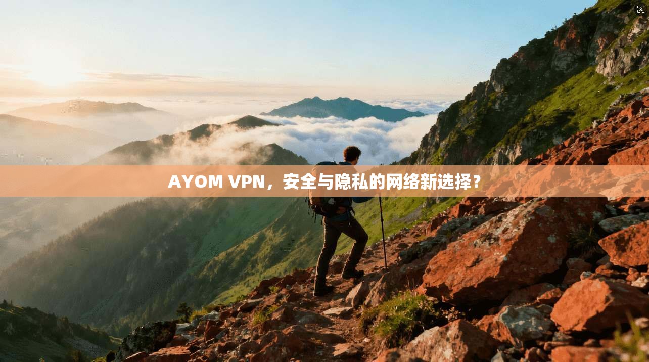 AYOM VPN，安全与隐私的网络新选择？
