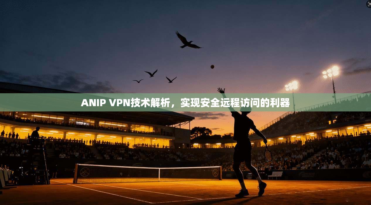 ANIP VPN技术解析，实现安全远程访问的利器