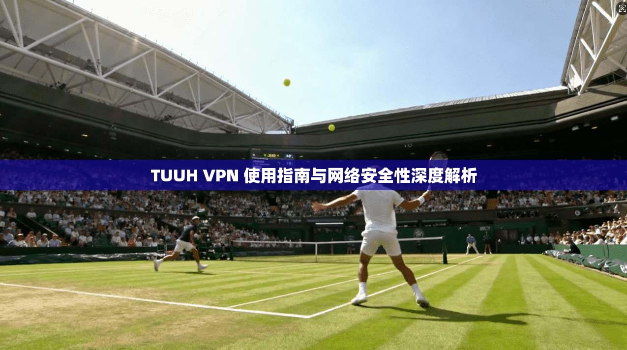 TUUH VPN 使用指南与网络安全性深度解析