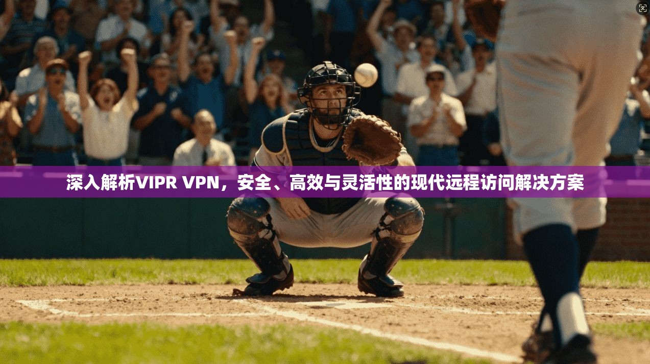 深入解析VIPR VPN，安全、高效与灵活性的现代远程访问解决方案