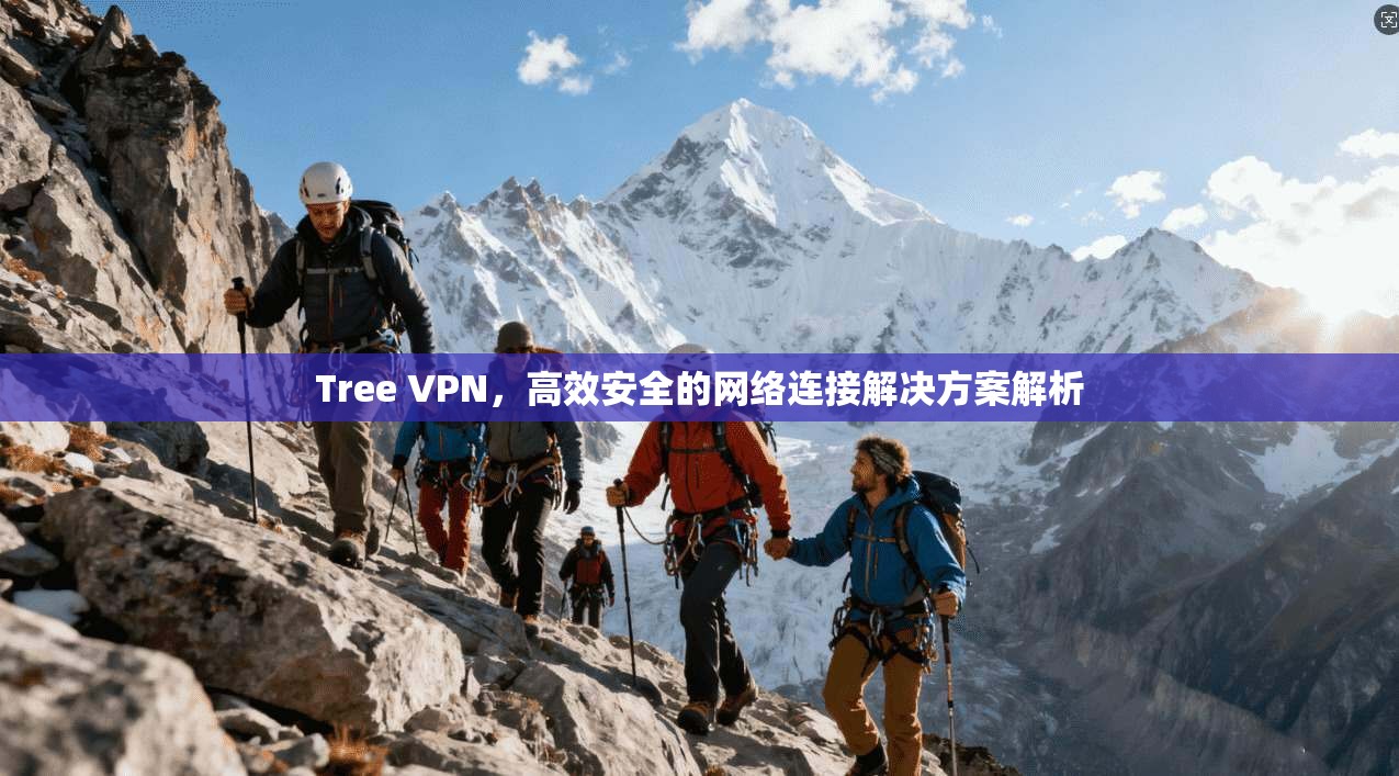 Tree VPN，高效安全的网络连接解决方案解析