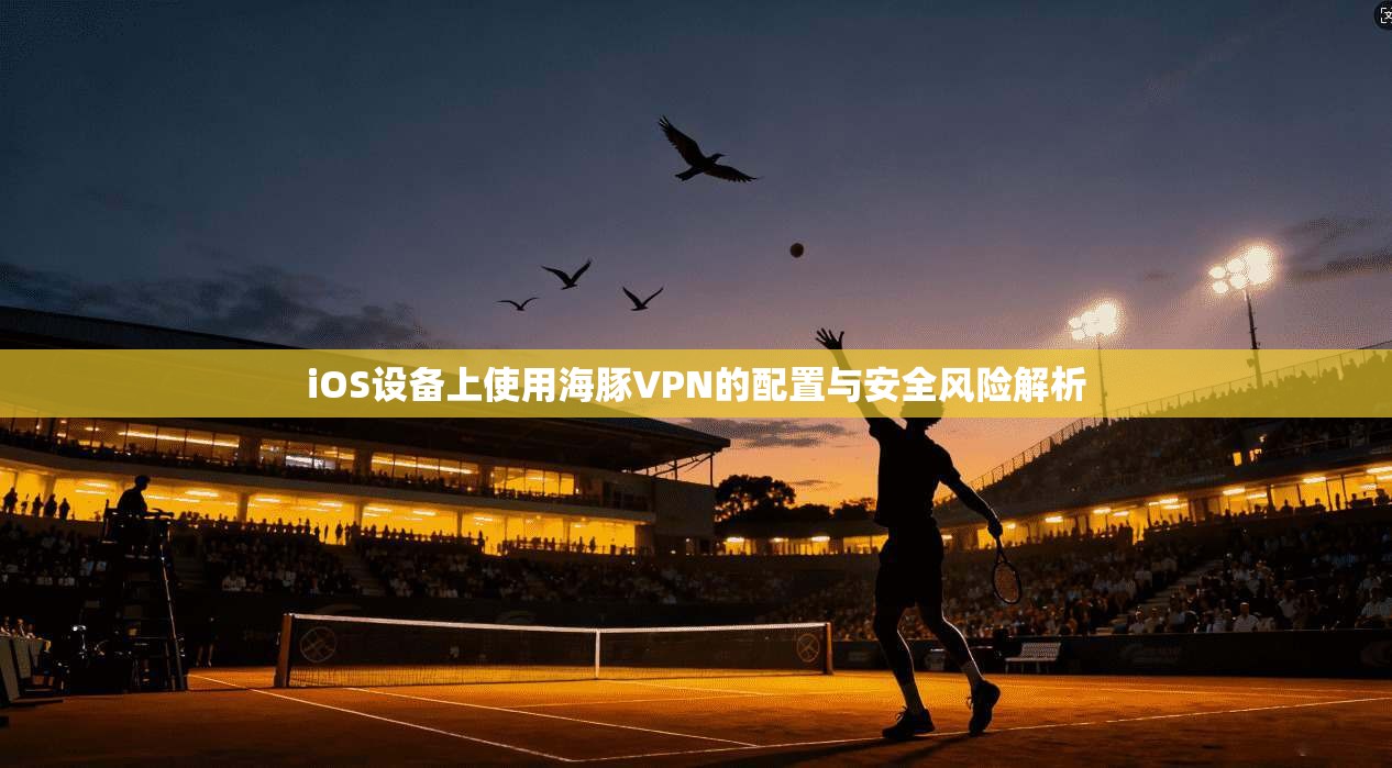 iOS设备上使用海豚VPN的配置与安全风险解析 iOS设备上使用海豚VPN的配置与安全风险解析