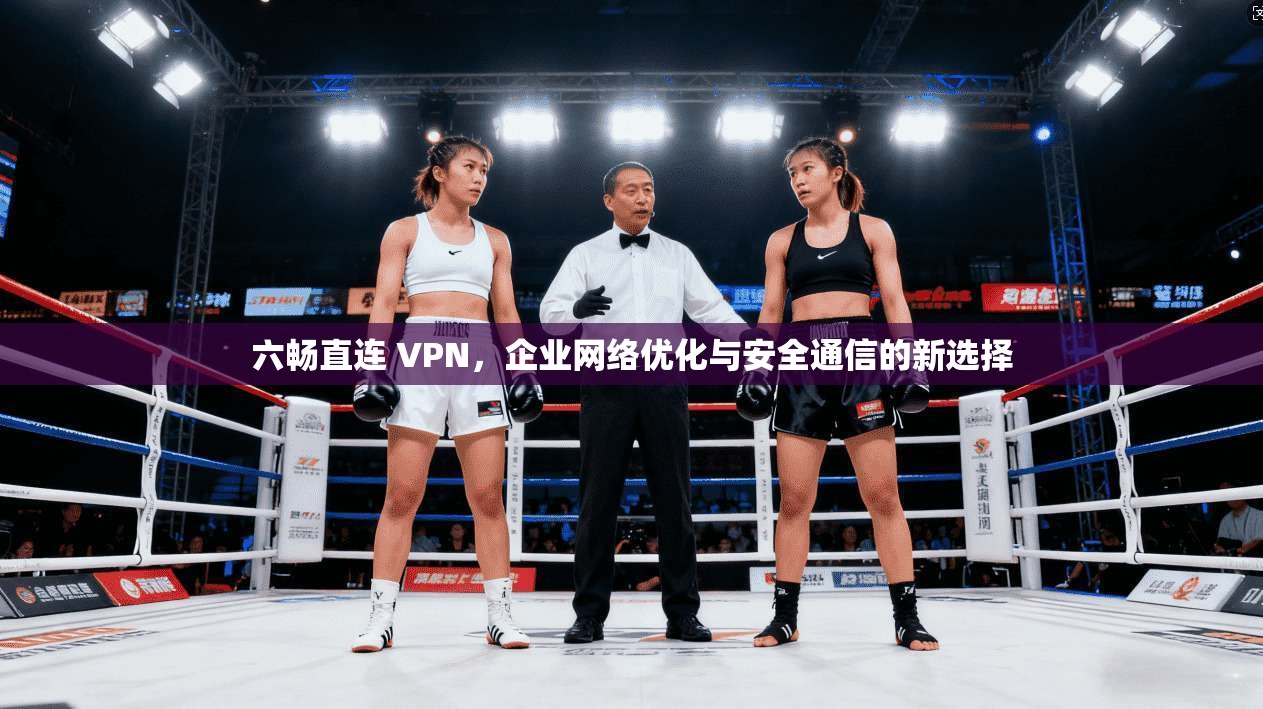 六畅直连 VPN,企业网络优化与安全通信的新选择 六畅直连 VPN,企业网络优化与安全通信的新选择